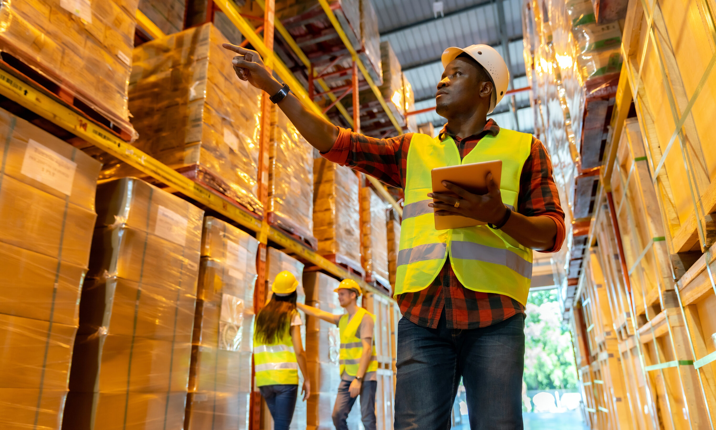 Logistic Worker in a Warehouse